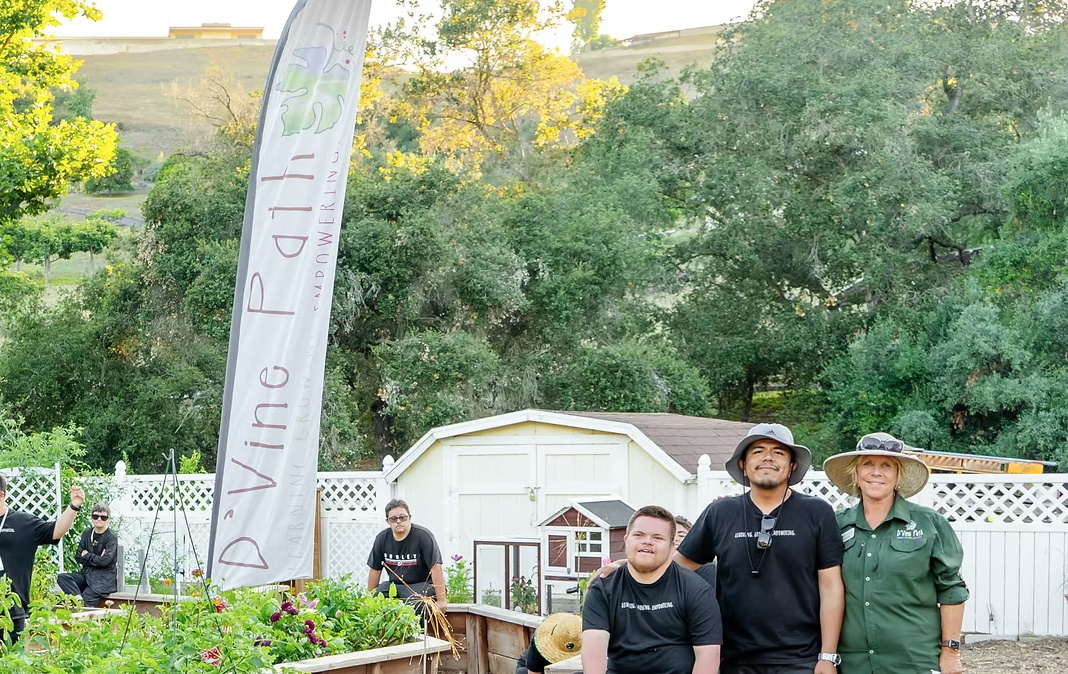 Sponsor 2 background