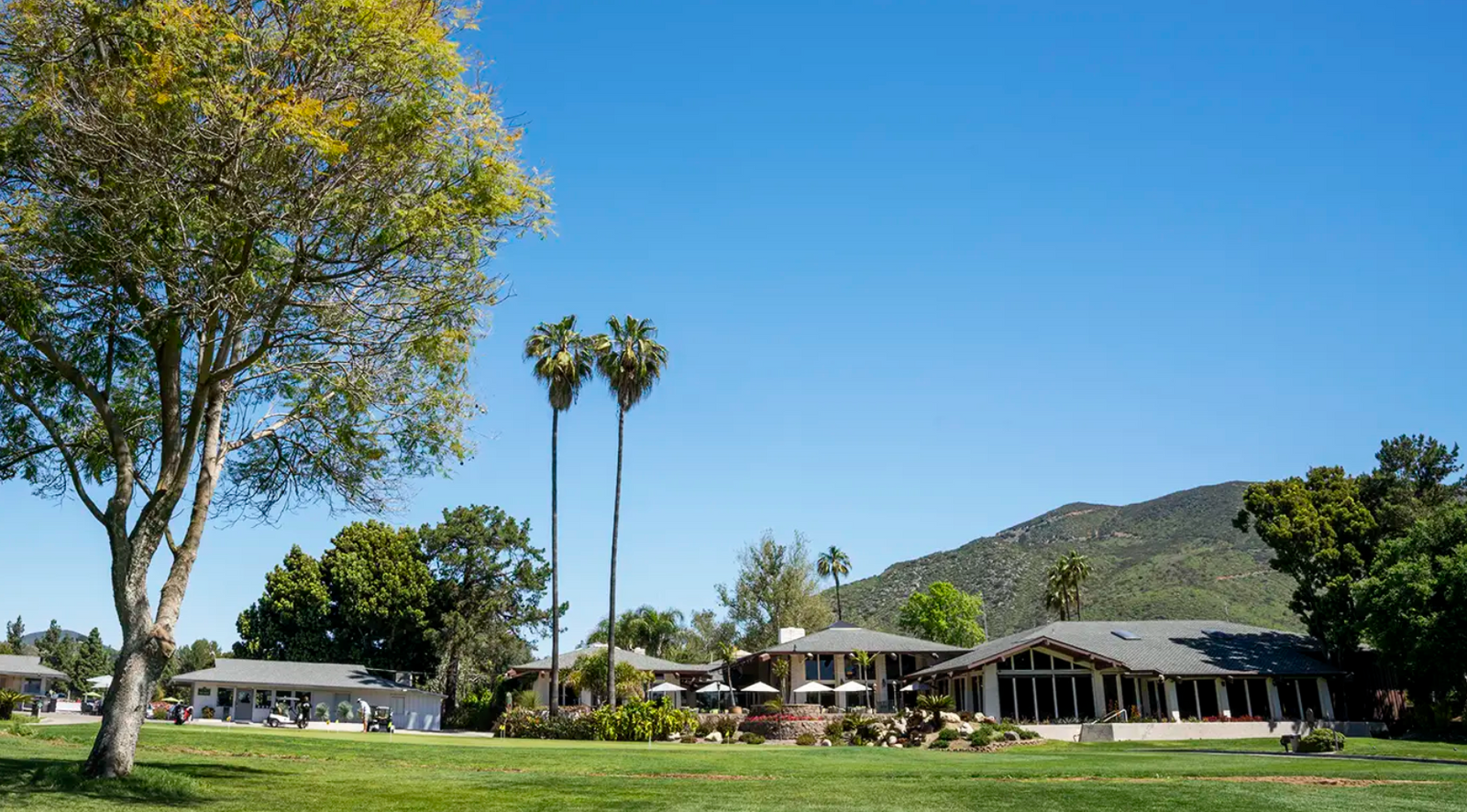 Sponsor 1 background